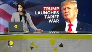 Donald Trump's tariffs on Mexico, Canada & China shake global trade