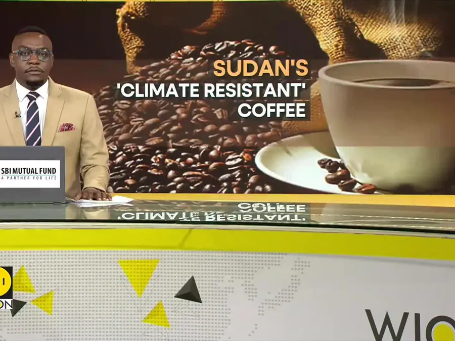Rare coffee species can transform South Sudan's industry