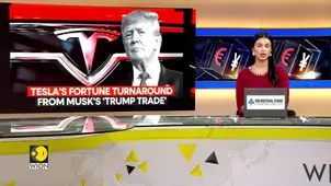 Elon Musk's 'Trump Trade' triggers Tesla's turnaround since Nov