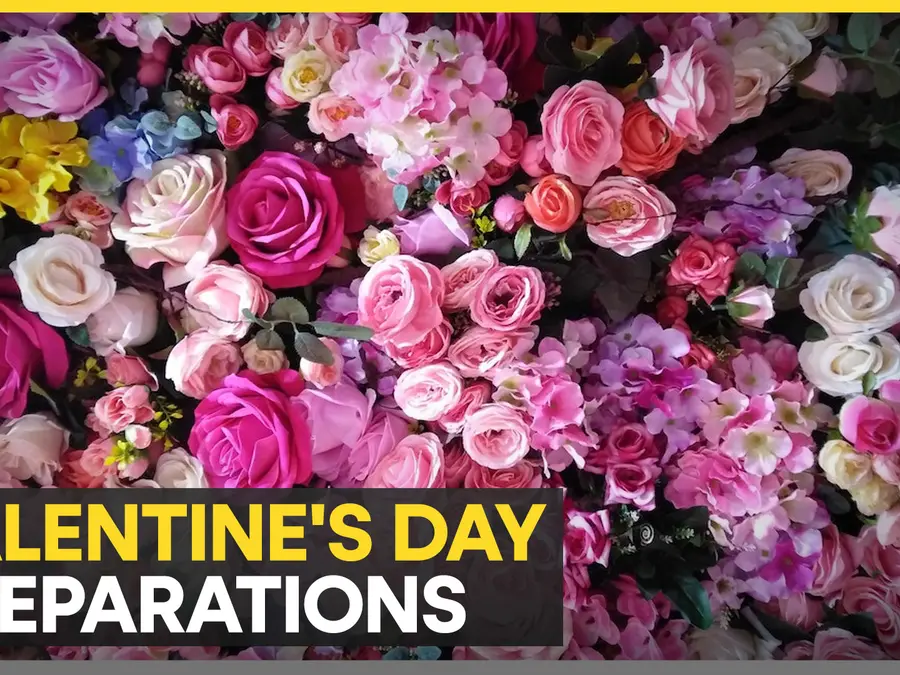 Colombia's pocket full of roses on Valentine's day