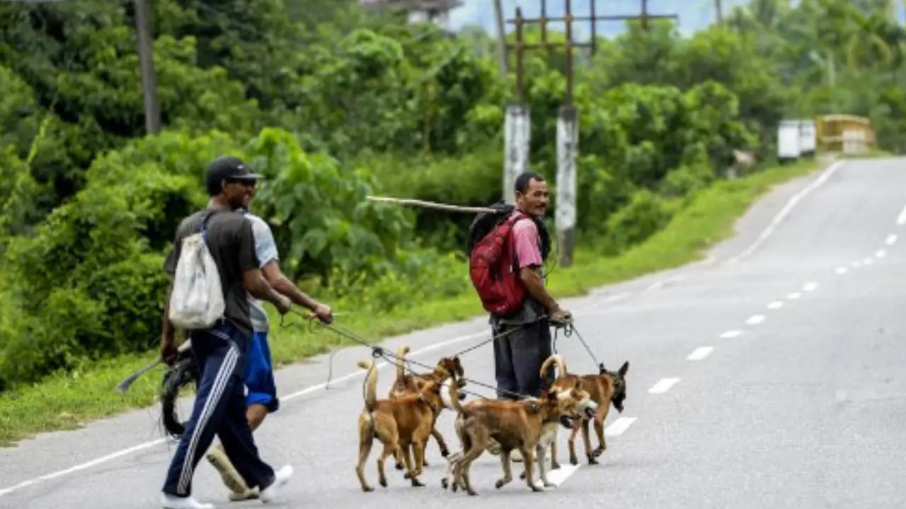 Vasectomy in exchange for benefits: Indonesian governor's absurd suggestion