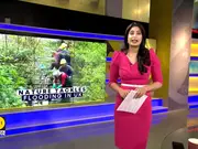 Nature Tackles Flooding In Leicester