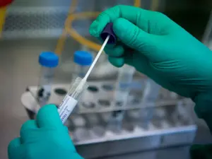 Researchers breach brain-blood barrier, deliver medicine precisely via nanoparticles