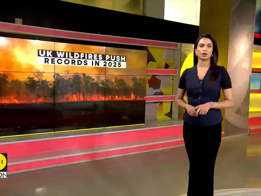 UK wildfires: 24,500 hectares of land scorched this year, as per satellite data