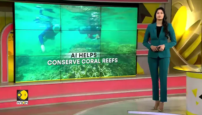 AI boosts coral reef conservation on France's reunion island