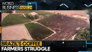 Global coffee prices surge as Brazil records hottest year