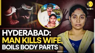 India: Ex-army man kills wife, chops body before boiling | chilling details emerge