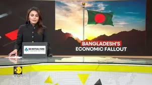 Bangladesh risks crisis as investment plummets
