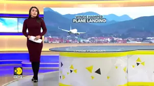 Strong winds buffet plane's landing