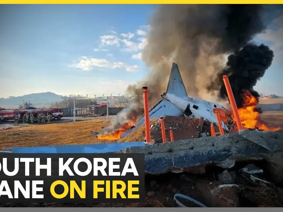 Many killed as plane with 181 people on board crashes on South Korea runway