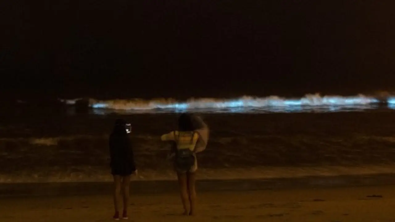 Bioluminescent 'sea sparkles' light up Tasmania’s coastline, raising environmental concerns Bioluminescent 'sea sparkles' light up Tasmania’s coastline, raising environmental concerns