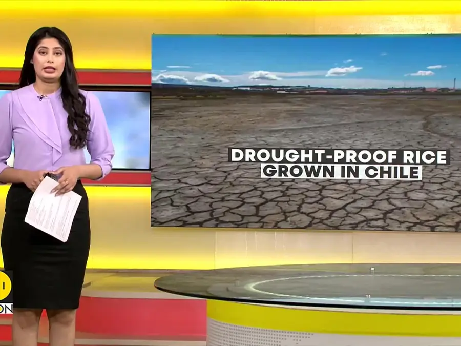 Study Reveals That Italy's Po River Likely To Face Intensifying Drought