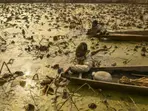 With start of 'Chillai Kalan,' Srinagar freezes at season's coldest night with minus 8.5 degrees