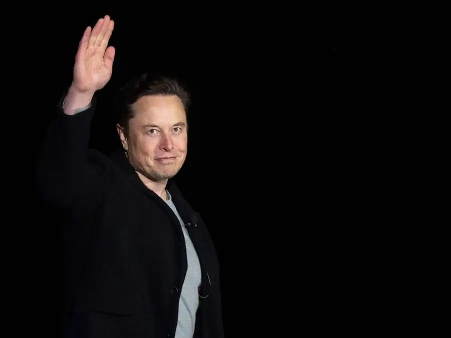 Elon Musk's 'problematic' post on German politics sparks accusations of interference