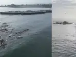 Santa Cruz Wharf partially collapses in high surf, three fall into ocean
