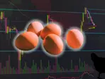 Around 100,000 eggs worth $40,000 stolen in US amid national egg shortage