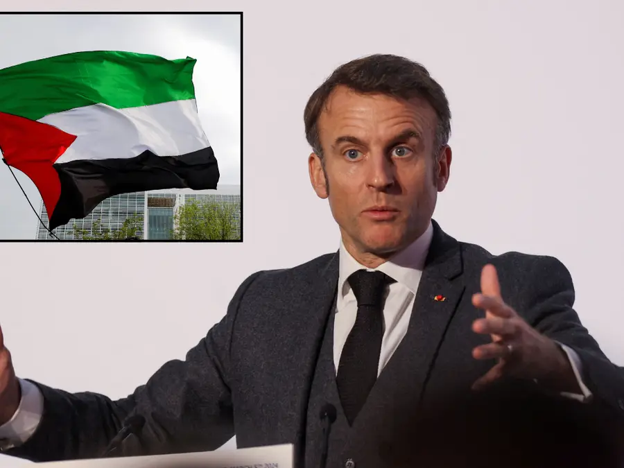 France says it may recognise Palestinian state in June amid Israel's Gaza offensive
