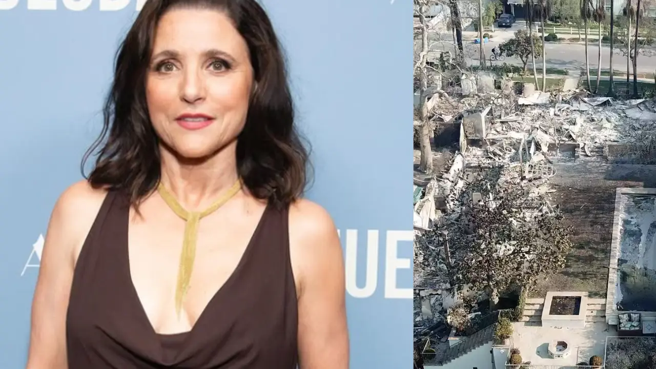 Julia-Louis Dreyfus