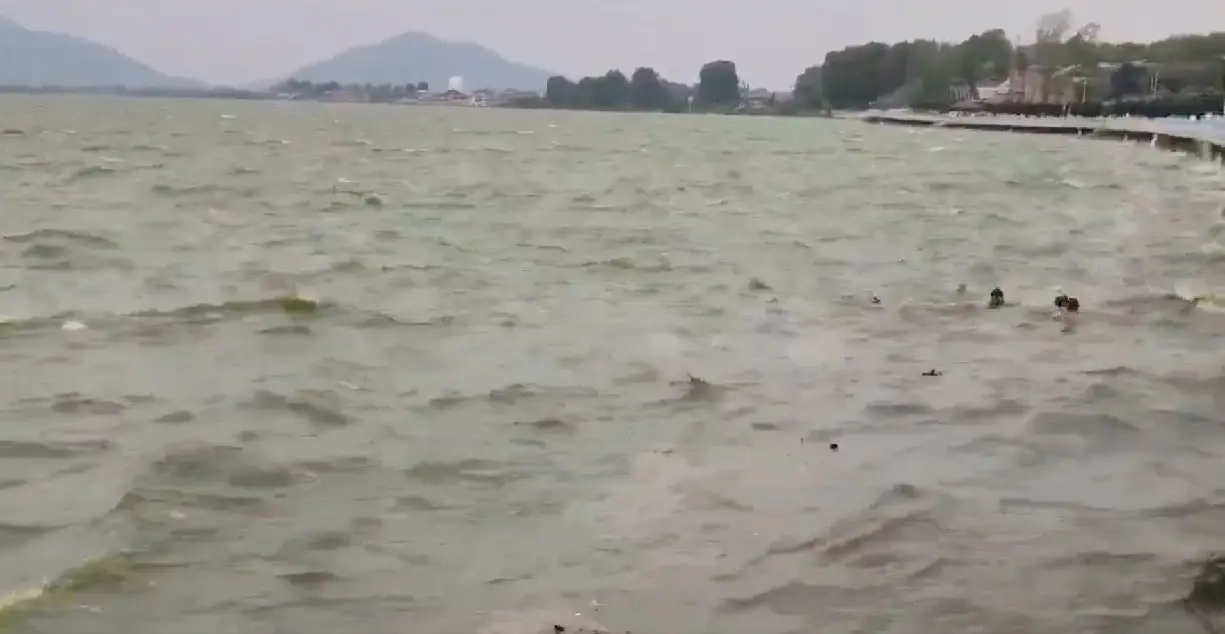 Shikara capsizes in Dal Lake, Srinagar, due to strong gusty winds | WATCH Shikara capsizes in Dal Lake, Srinagar, due to strong gusty winds | WATCH