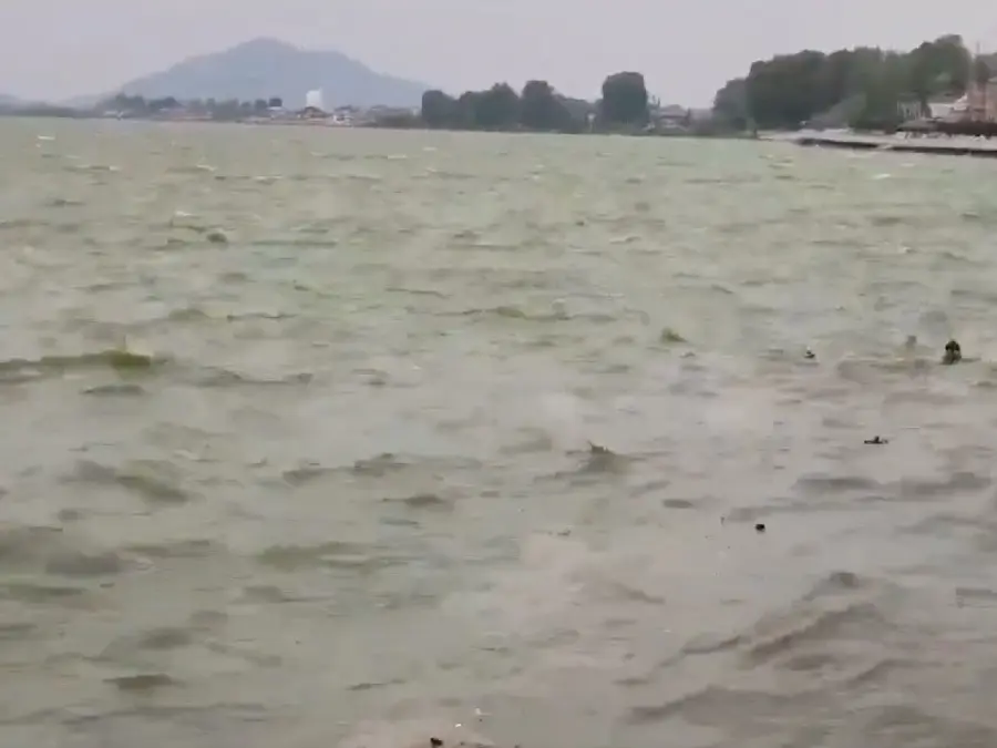 Shikara capsizes in Dal Lake, Srinagar, due to strong gusty winds | WATCH