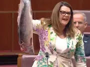 'Extinction salmon': Australian senator pulls out dead fish in parliament. Here's why