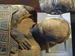 Discovered over 100 years ago, no archaeologist has dared to open THIS mysterious 2,300-year-old Egyptian mummy