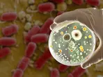US government's BIG secret out: FDA kept deadly E. coli outbreak in 15 states hidden. Here's what caused it