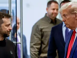 'This is wild!' Zelensky issues bizarre photo rules; orders journalists to avoid low angles, tall people and...