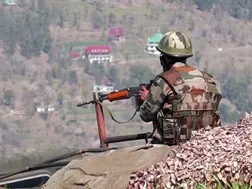 'Ran like a scared dog': Ex-Pentagon official slams Pakistan, says it 'lost very badly' and India won 'diplomatically, militarily'