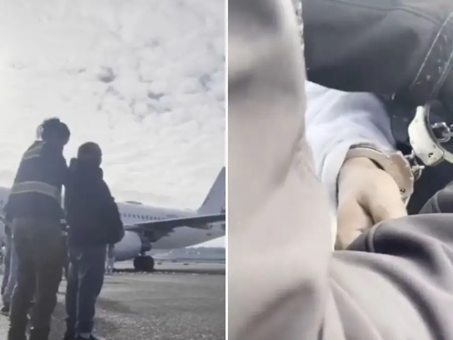 White House releases video of shackled deportees; Elon Musk's reaction sparks condemnation