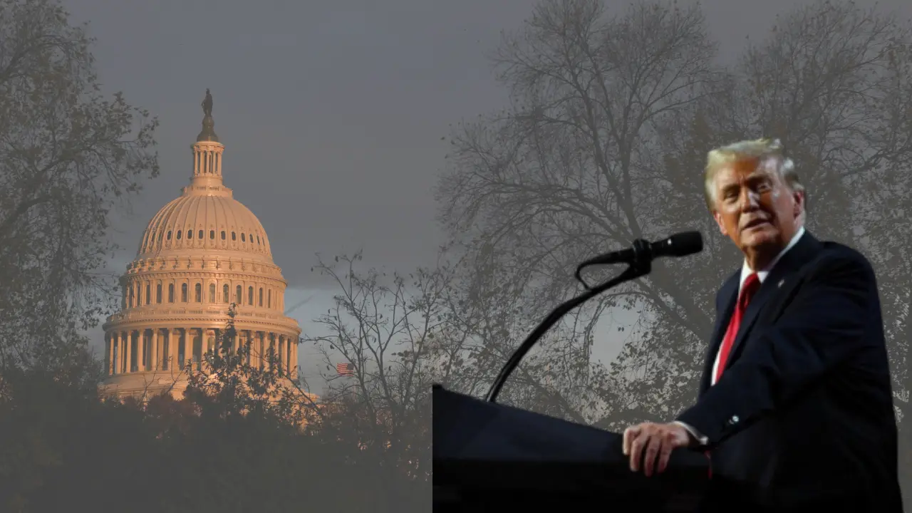 'Can’t be here': Washington DC residents flee ahead of Trump inauguration to escape 'ugly side of America' 'Can’t be here': Washington DC residents flee ahead of Trump inauguration to escape 'ugly side of America'