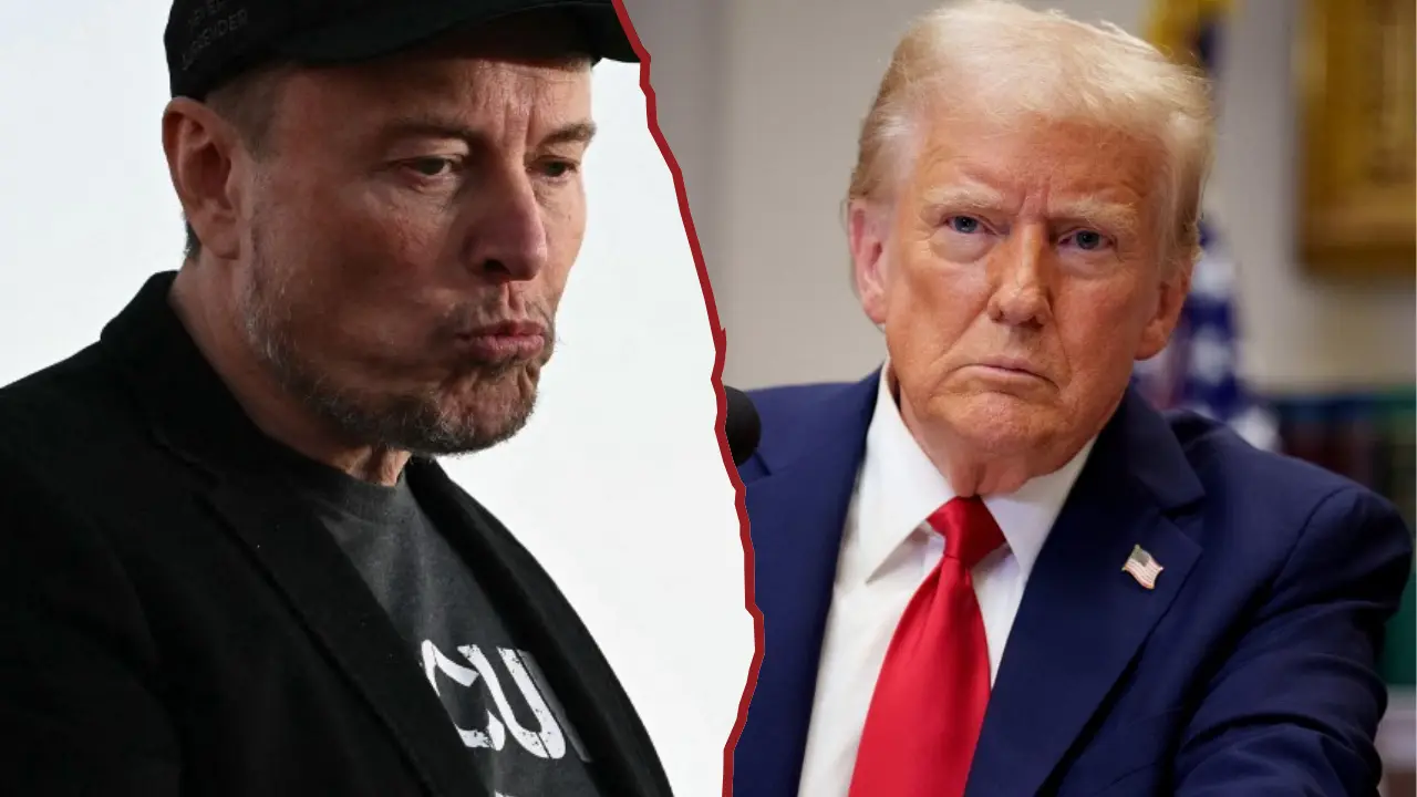 Musk ridicules funding viability of Trump's $500 billion AI project Stargate: 'Actually wasn't there' Musk ridicules funding viability of Trump's $500 billion AI project Stargate: 'Actually wasn't there'