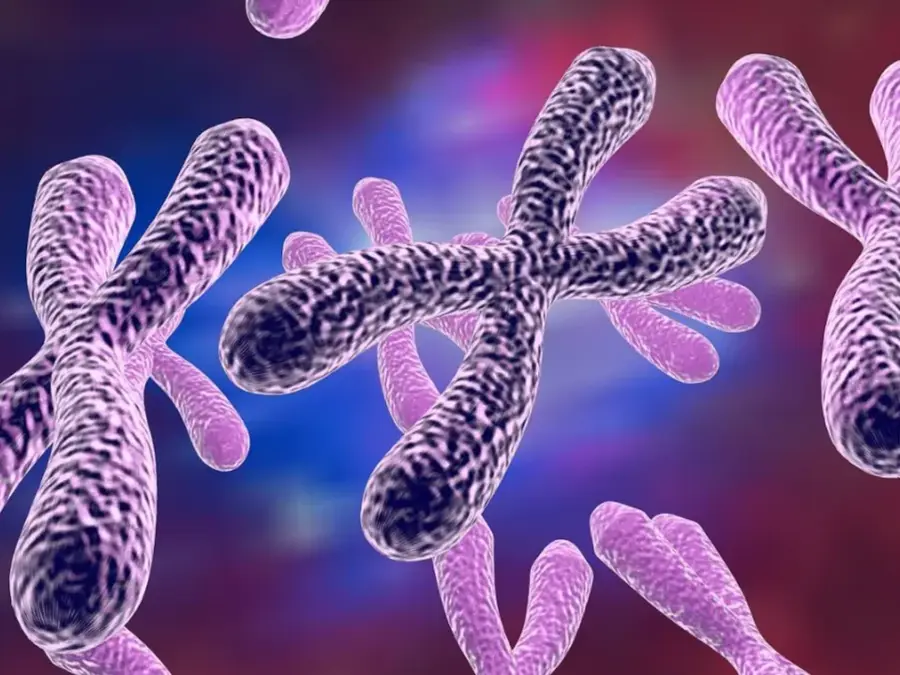 Brain ageing could be fault of Mother’s X chromosome, study suggests