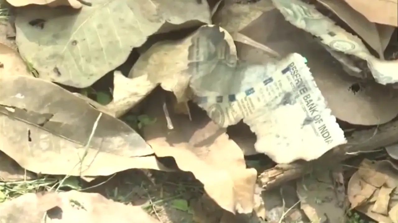 CJI seeks security details after burnt cash found at Delhi HC judge’s home CJI seeks security details after burnt cash found at Delhi HC judge’s home