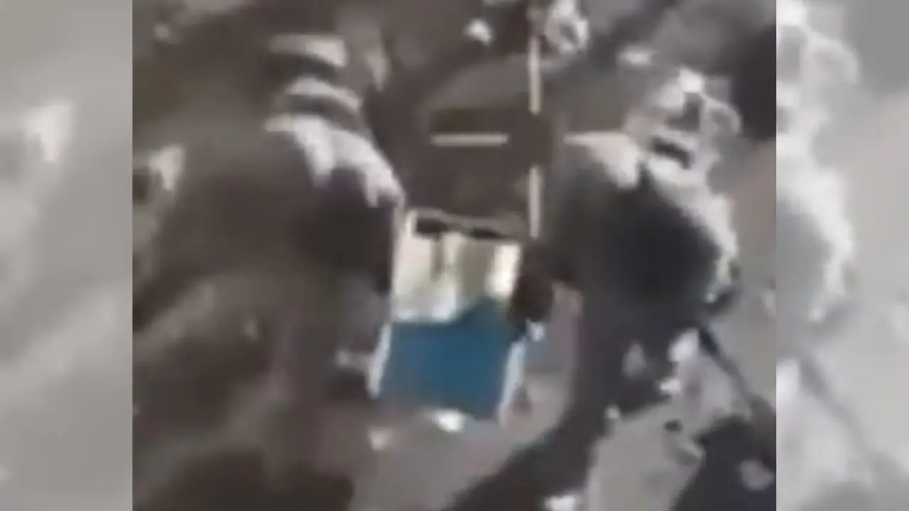 Watch | Ukrainian soldiers run out of grenades, throw beehives at Russian troops Watch | Ukrainian soldiers run out of grenades, throw beehives at Russian troops