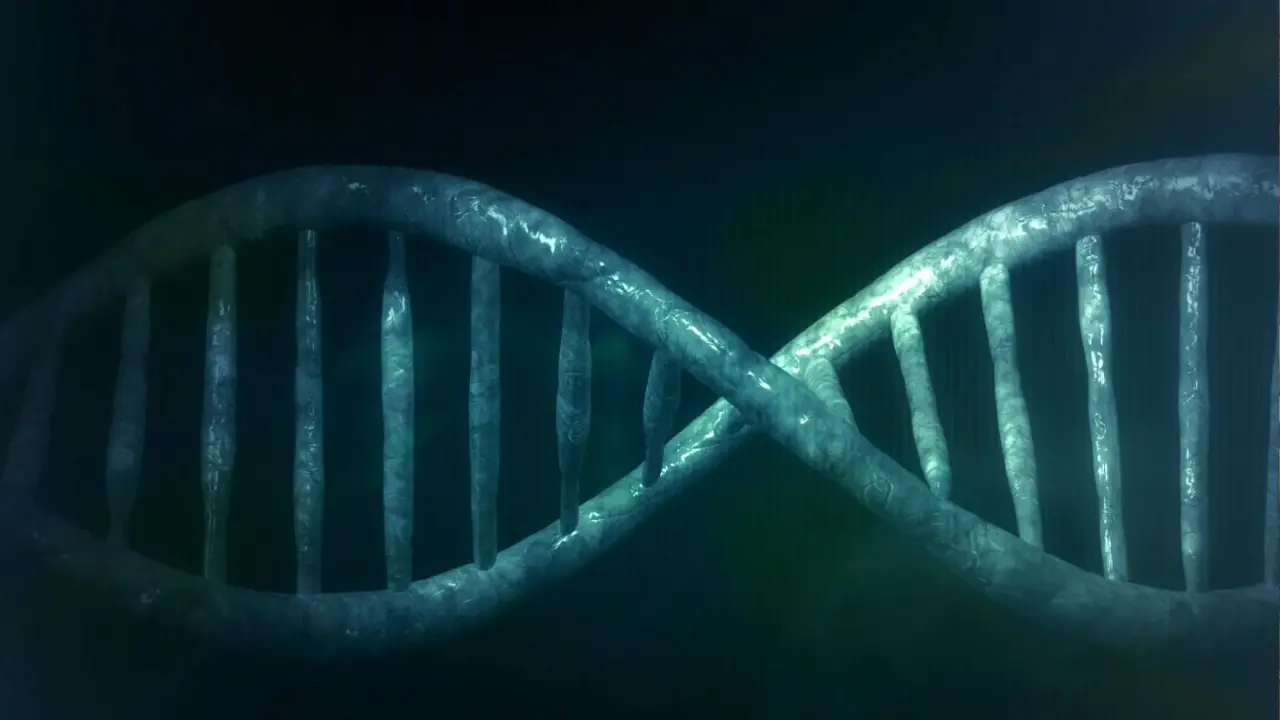 Iron Age men used to join wive's families, says latest DNA study Iron Age men used to join wive's families, says latest DNA study