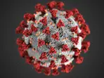 Norovirus has gripped UK. Will it reach other countries?