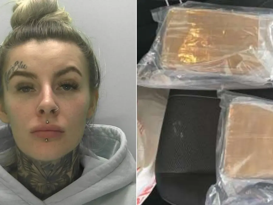 Female drug dealer gains fans over internet after police shares ‘glamourous’ mugshot