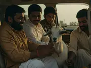 Sacrificial goat miraculously survives as 4 die in car crash