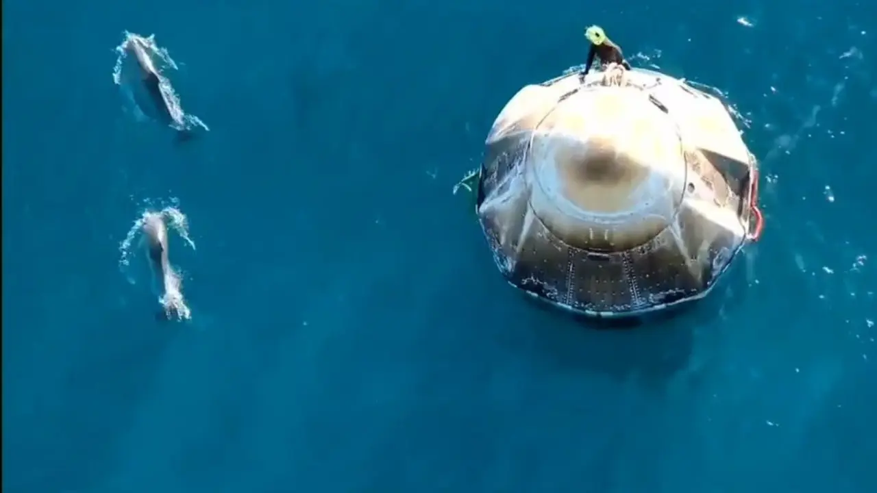WATCH: Dolphins 'welcome' Sunita Williams and Butch Wilmore on Earth in magical moment from NASA splashdown