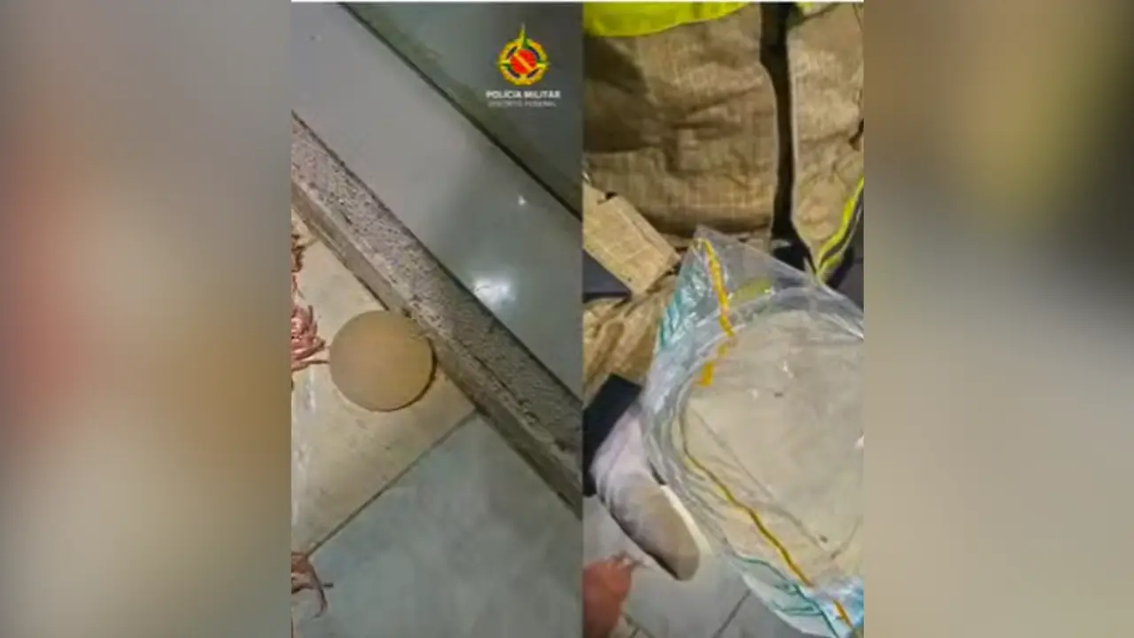 Brazilian man arrested after cutting out wife's breast implant with a kitchen knife during fight Brazilian man arrested after cutting out wife's breast implant with a kitchen knife during fight