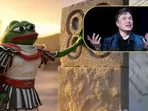 Elon Musk changes name on X; call him 'Kekius Maximus' now