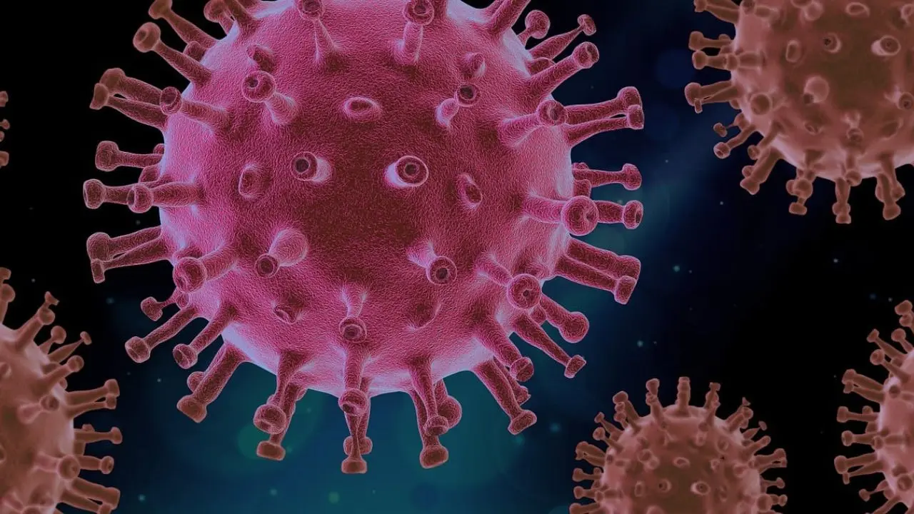 Why do COVID vaccines cause chronic issues for some? Here’s what researchers say Why do COVID vaccines cause chronic issues for some? Here’s what researchers say