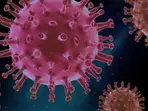 Why do COVID vaccines cause chronic issues for some? Here’s what researchers say