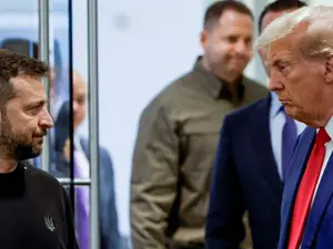 'Not just rare earth minerals, but...': Ukraine, US talks on new minerals deal next week | Here's what Trump wants now