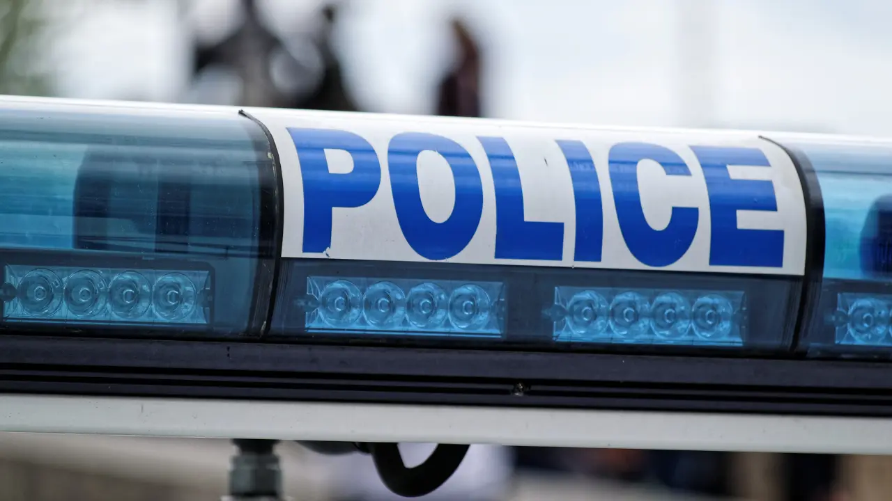 Indian national stabbed to death in Canada, suspect held: Indian embassy Indian national stabbed to death in Canada, suspect held: Indian embassy