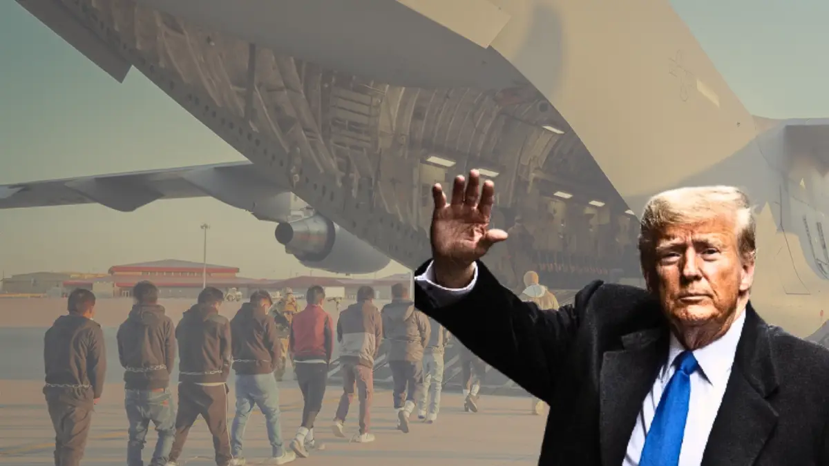 Trump's deportation flights costing $852,000 for every 80 migrants: Report Trump's deportation flights costing $852,000 for every 80 migrants: Report