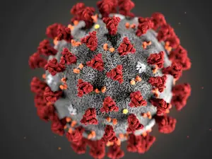 China faces new virus outbreak- What is HMPV? A few FAQs answered