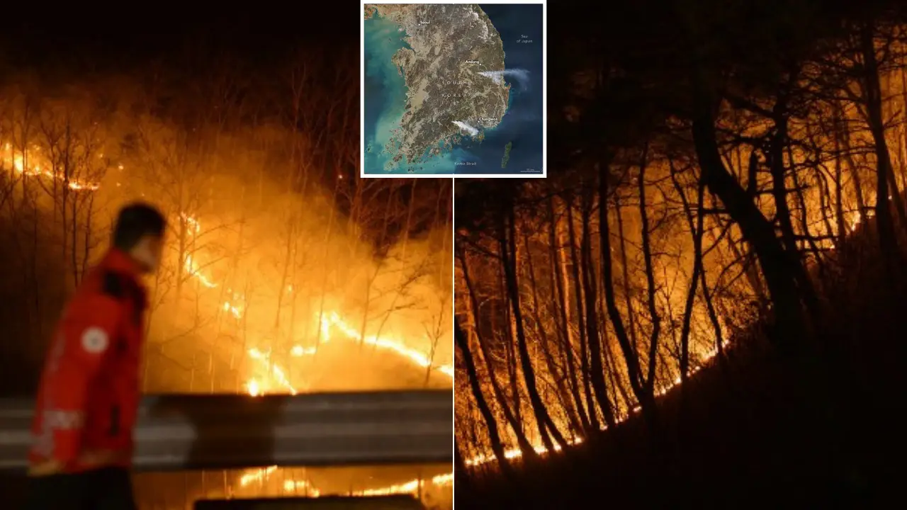 VIDEO: South Korea's wildfires kill 27, become country's worst natural disaster; smoke seen from space VIDEO: South Korea's wildfires kill 27, become country's worst natural disaster; smoke seen from space