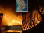 South Korea: Did a man clearing grandparents' gravesite trigger massive wildfires? Probe underway